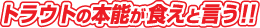 トラウトの本能が食えと言う！！